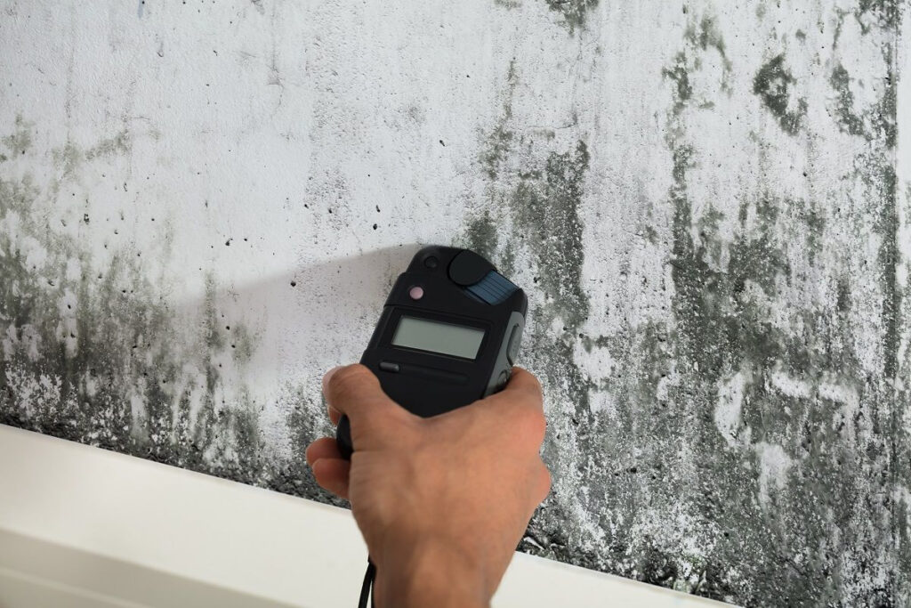 a mold specialist testing black spores on wall with a handheld device