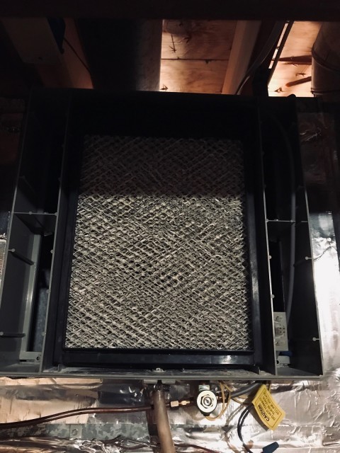 A black and gray humidifier tray inside a humidifier