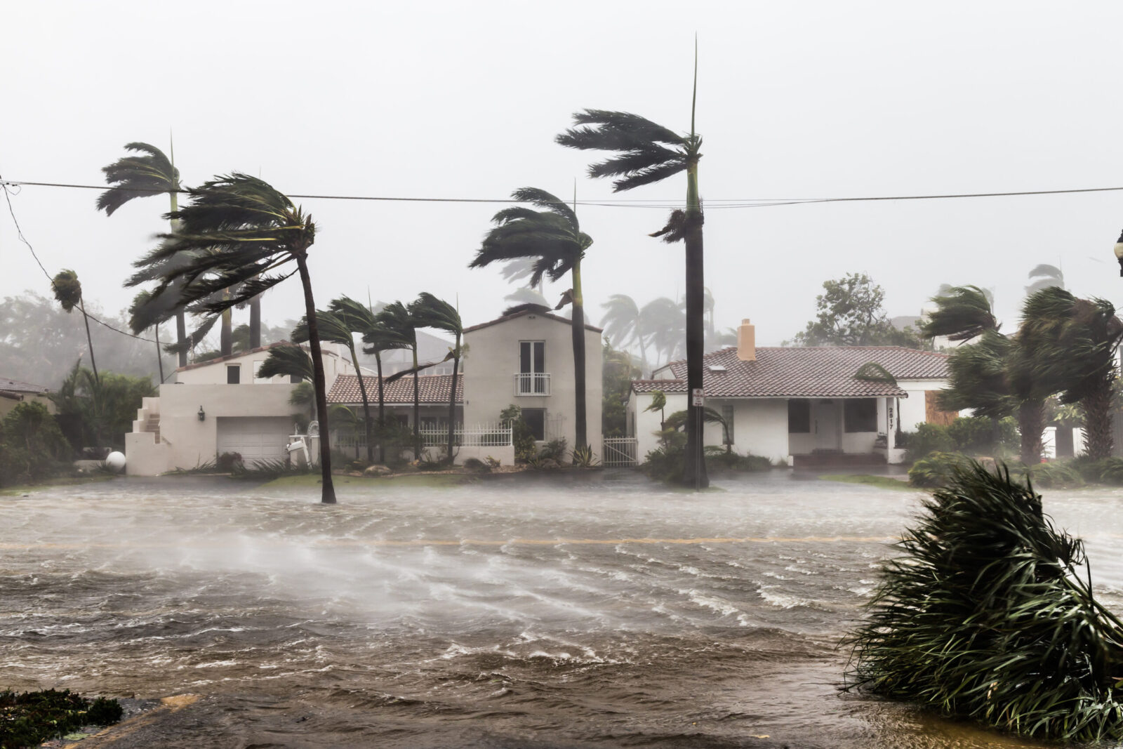 flood and high winds in a tropical neighborhood - hurricane preparedness tips