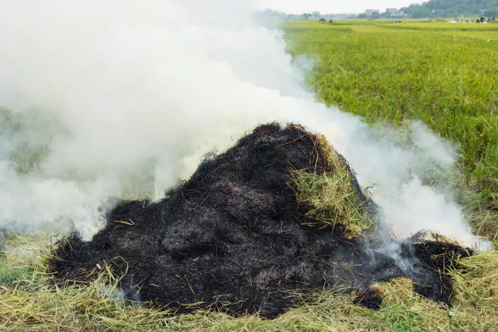 A pile of grass burning in a yard