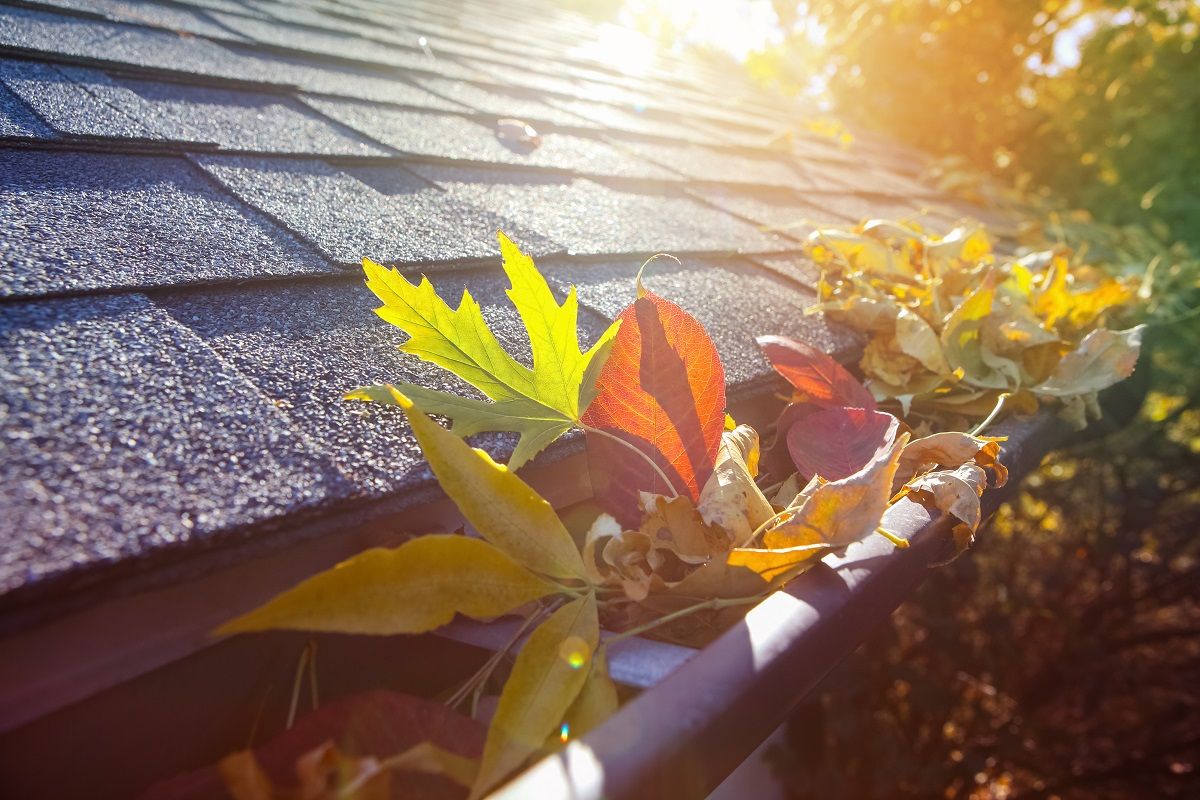 Leaves in a gutter during fall - fall home maintenance checklist
