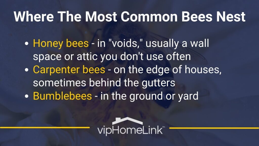 Most Common Bee Nests