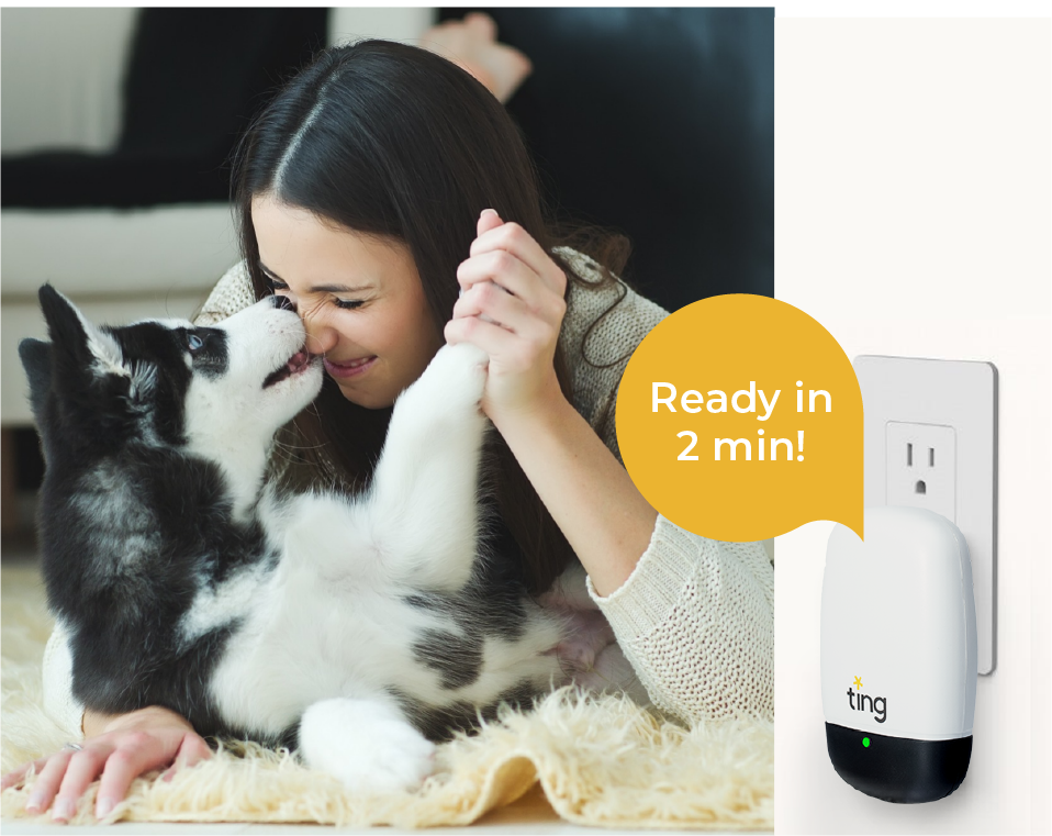 Sensor in wall, along with a woman and her dog