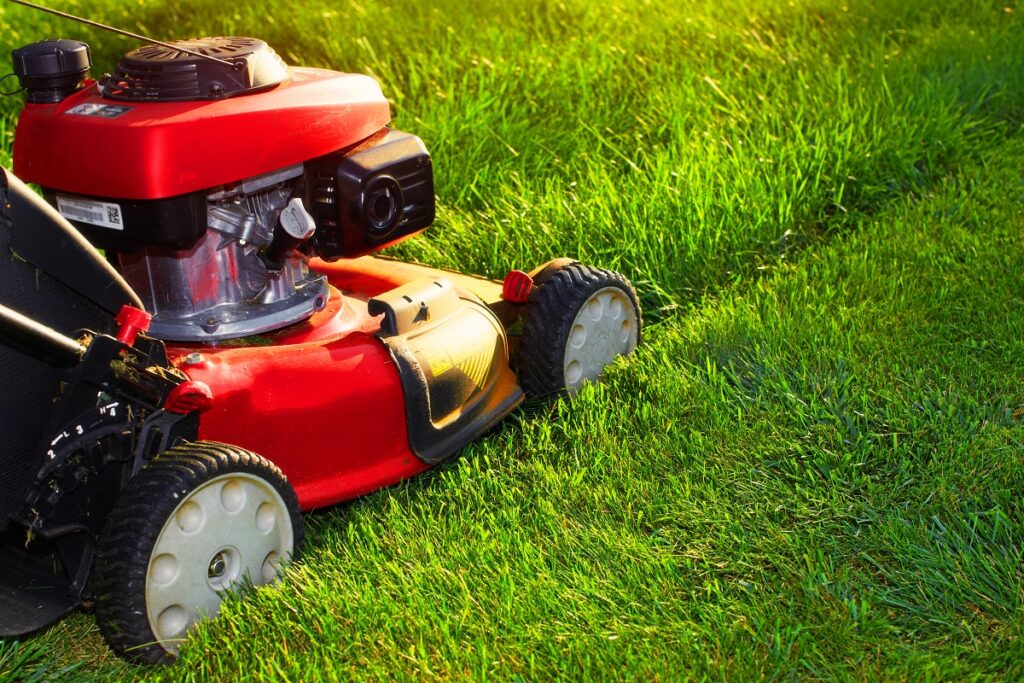 a lawnmower cutting high grass